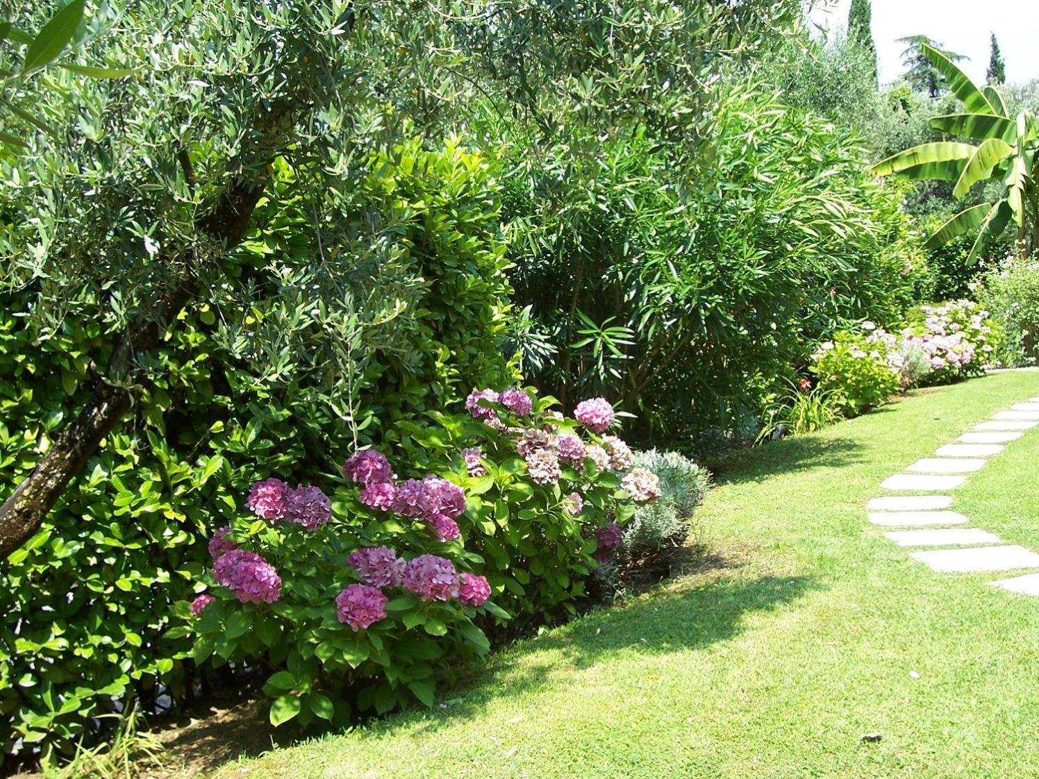 Villa Giada Torri Del Benaco Exterior foto